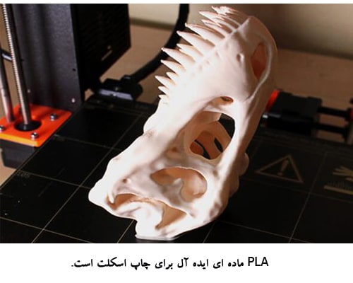 ماکت اسکلت